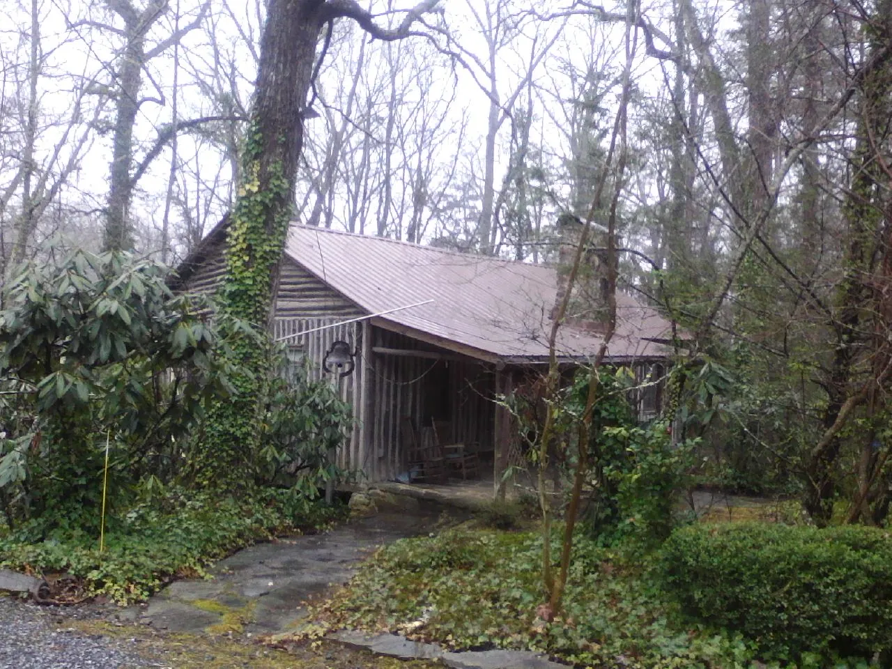 Weathered metal roof on an old board sided cabin in the woods in Middle Haddam